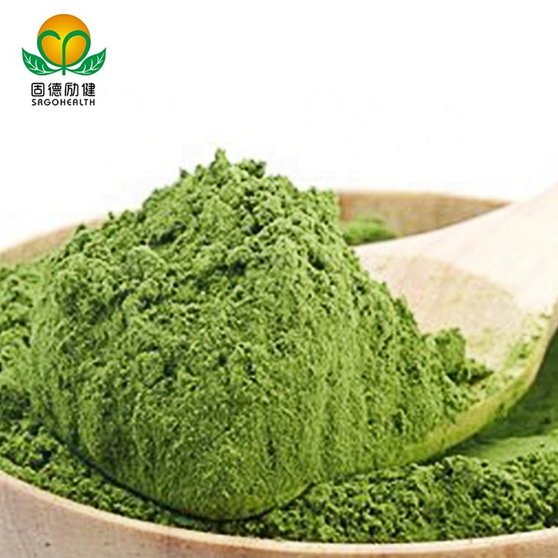 Vegan GMP Factory Supply Kale Powder
