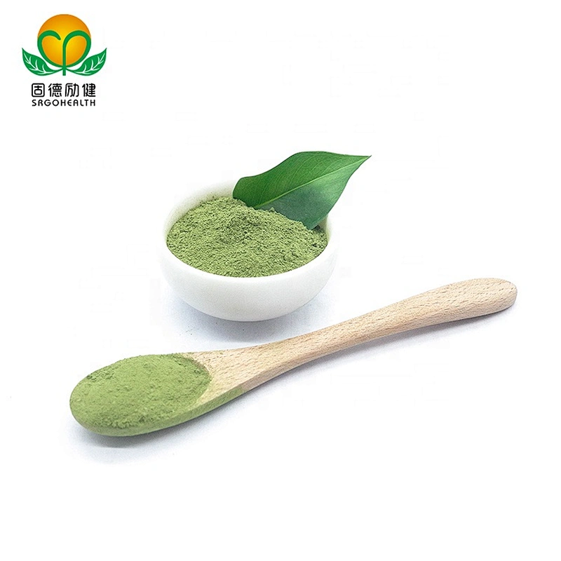 Vegan GMP Factory Supply Organic Spinach powder