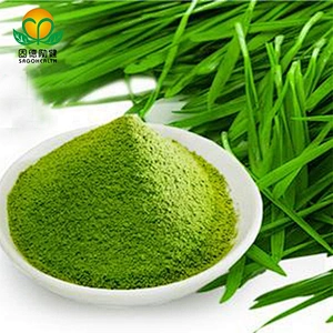 Hot Selling Organic Barley Grass Powder