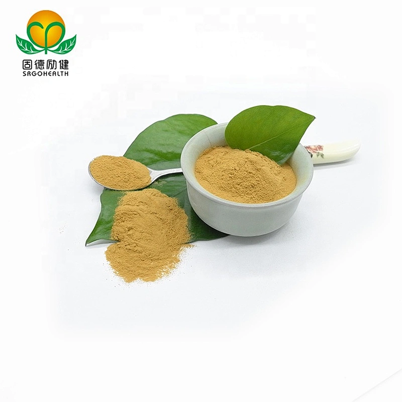 Vegan Supplement GMP Certified Organic Hericium Erinaceus Extract Powder