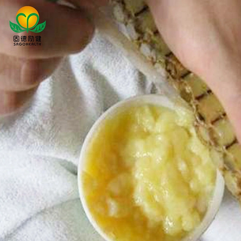 Hot Sales Organic Fresh Royal Jelly