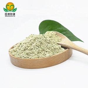 Vegan Supplement GMP Certified Hemp Protein