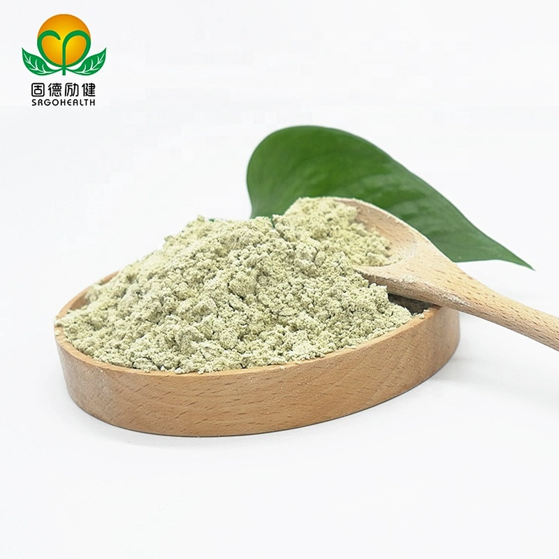 Vegan Supplement GMP Certified Hemp Protein