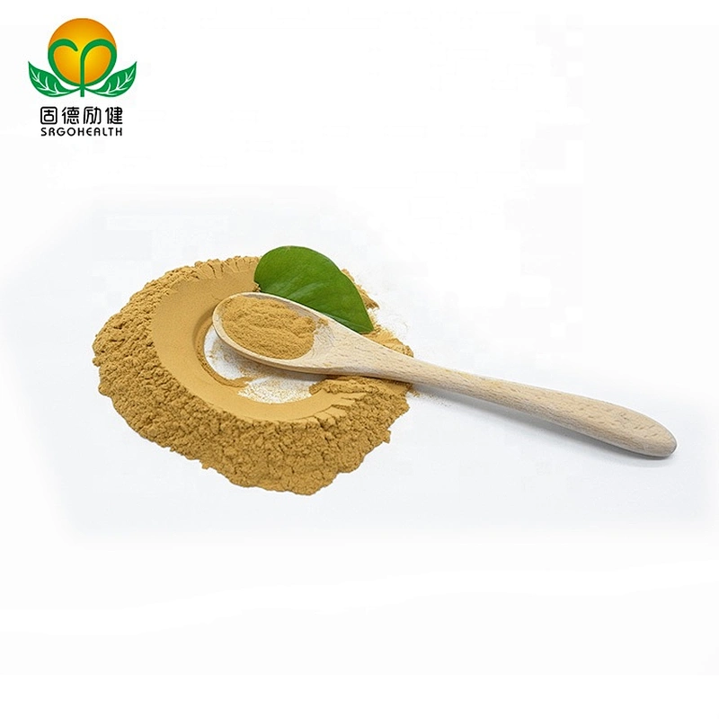 Vegan Supplement GMP Certified Hericium Erinaceus Extract Powder