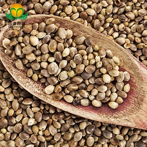 GMP Factory Supply Organic Hemp Seed