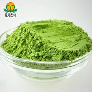 Vegan GMP Factory Supply Kale Powder