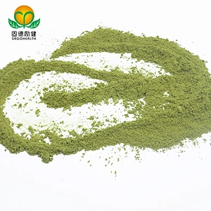 High Quality And Hot Selling Amazon &Ebay Organic Matcha Powder