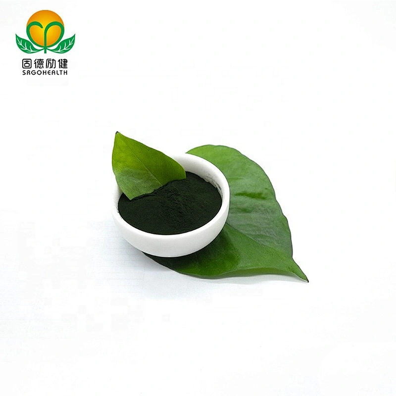 GMP Factory Supply Chlorella Powder