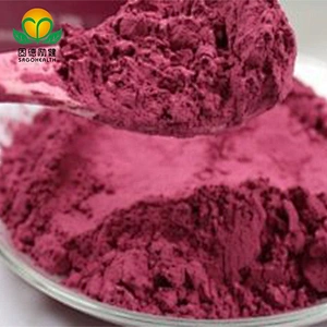 Vegan GMP Factory Supply Beet Root Powder