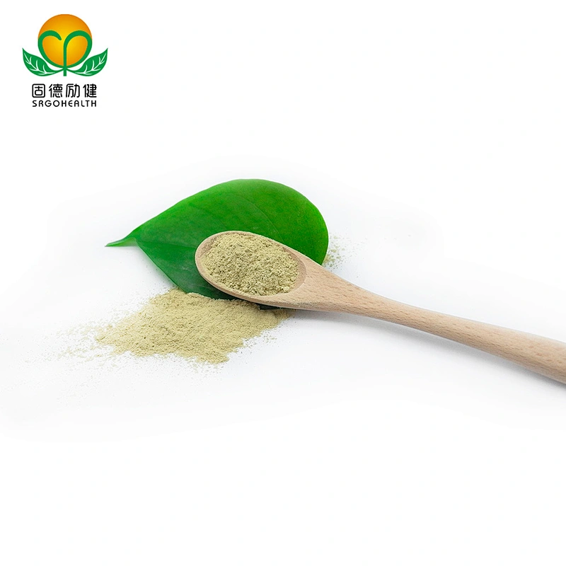 Factory Direct Supply Pure Sophora Japonica Extract Powder Rutin CAS NO 153-18-4