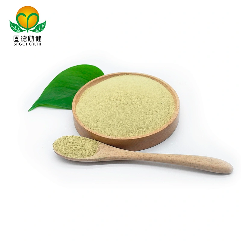 Hot Selling Sophora Japonica Extract Rutin Powder
