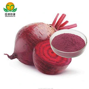 Factory Supply Competitive price Organic Beet Root Powder