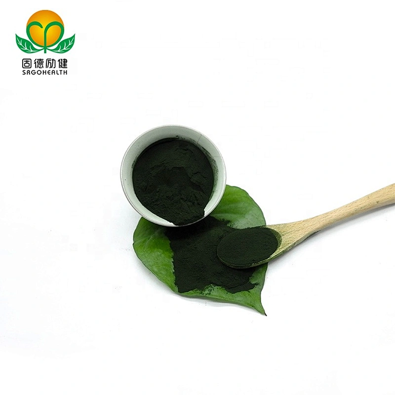 GMP Factory Supply Chlorella Powder