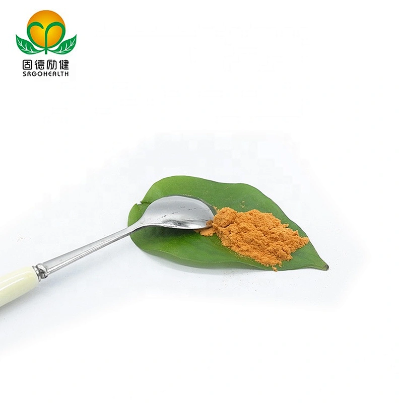 Hot Sales Hawthorn Berry Juice Powder
