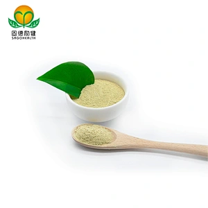 Hot Selling Competitive Price Pure Sophora Japonica Extract Rutin Powder