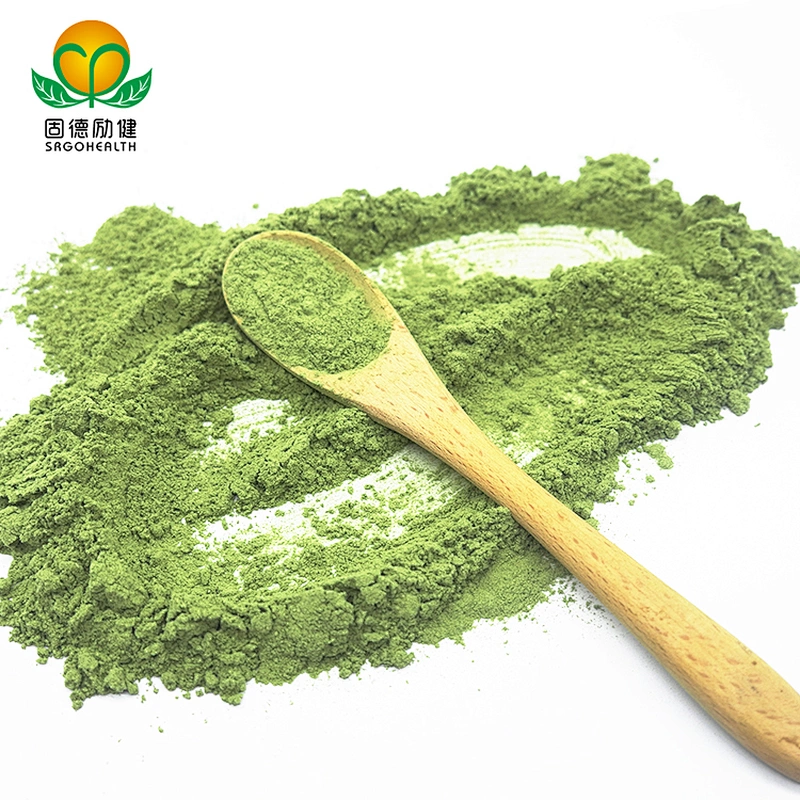 Qualified Organic Barley Grass Powder in Short Supply