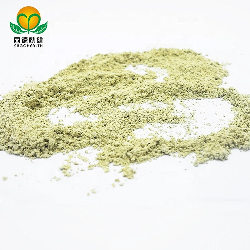 GMP Factory Vegan Hemp Protein Powder