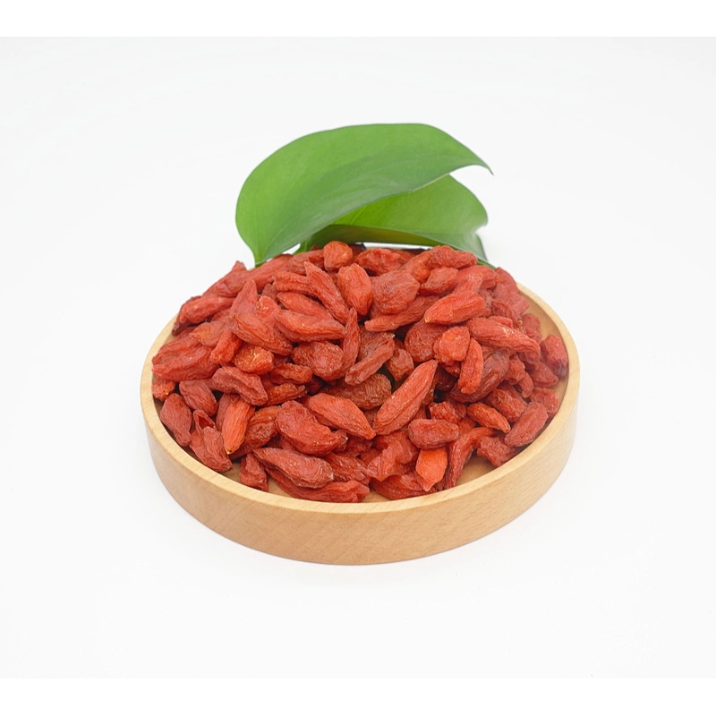 Hot Sales Factory Supplement GMP Certified Goji Berries