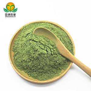 High Quality Hot Selling Amazon&Ebay Barley Grass Powder