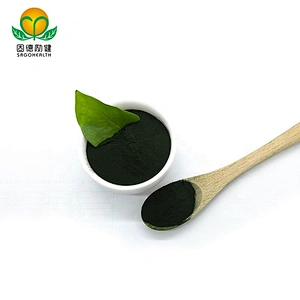Best Selling Chlorella Powder