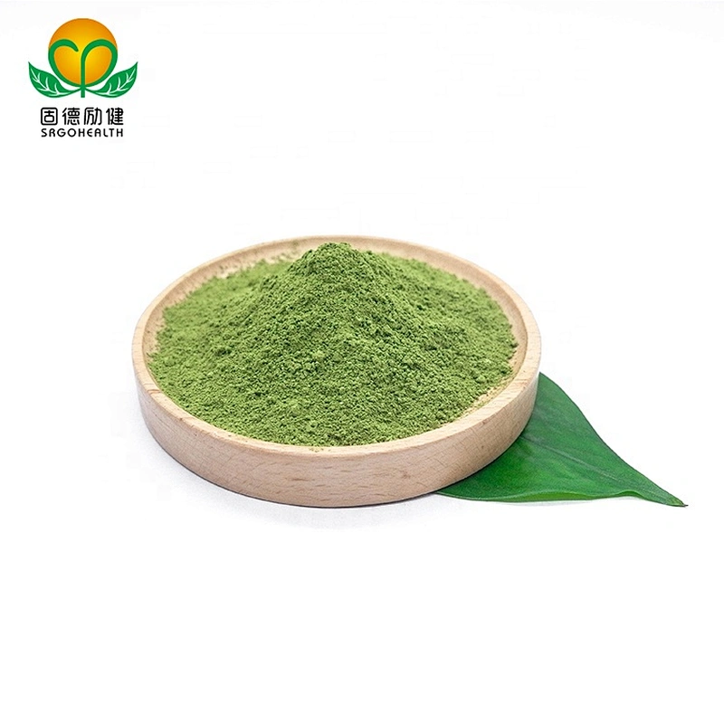 Vegan GMP Factory Supply Organic Spinach powder
