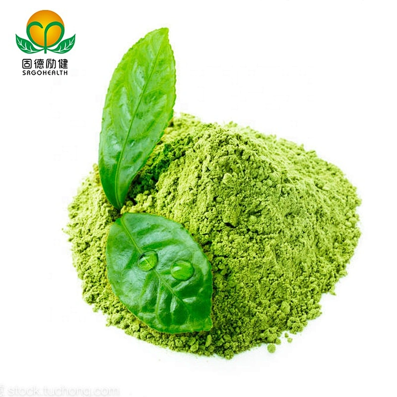 Competitive Price Conventional Matcha Powder