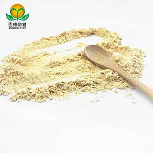 GMP Factory Supply Brown Rice Protein Powder