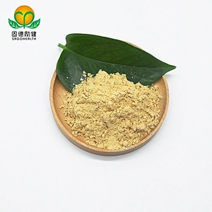 GMP Factory Supply Organic Hericium Erinaceus Extract Powder