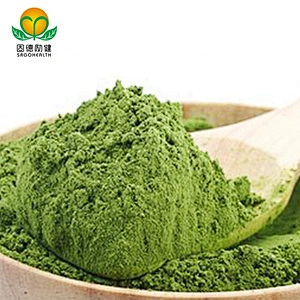 Competitive Price Conventional Matcha Powder