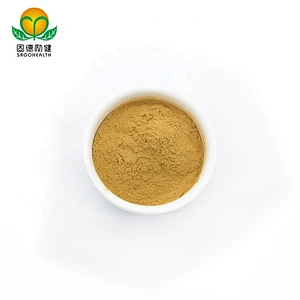 Vegan Supplement GMP Certified Hericium Erinaceus Extract Powder