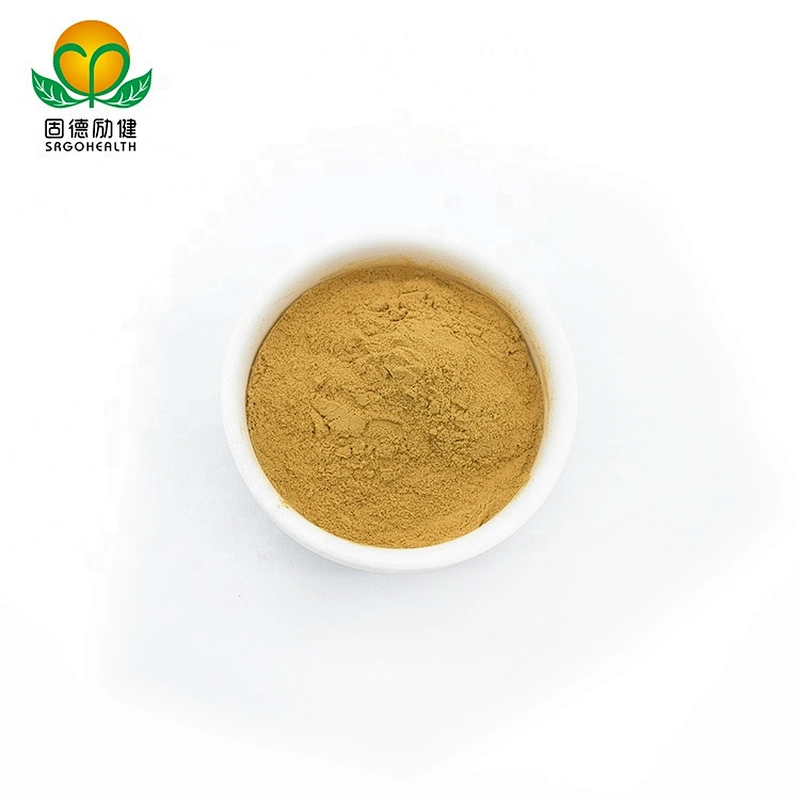 Vegan Supplement GMP Certified Hericium Erinaceus Extract Powder