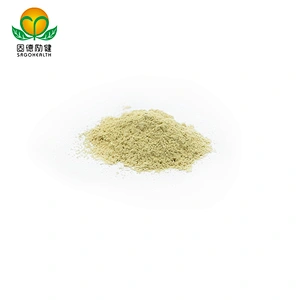 Hot Selling Sophora Japonica Extract Rutin Powder