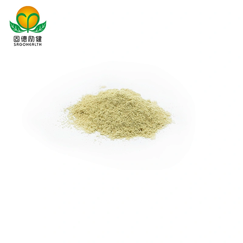 Hot Selling Sophora Japonica Extract Rutin Powder