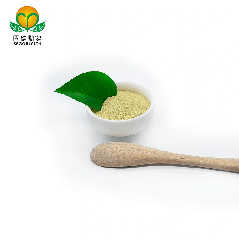 High-quality Hot-selling in Amazon GMP Factory Rutin