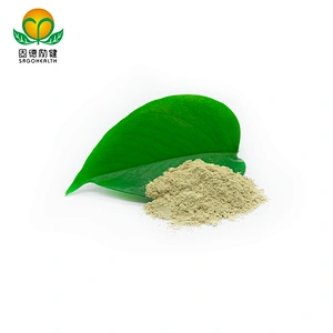 High-quality Hot-selling in Amazon GMP Factory Rutin