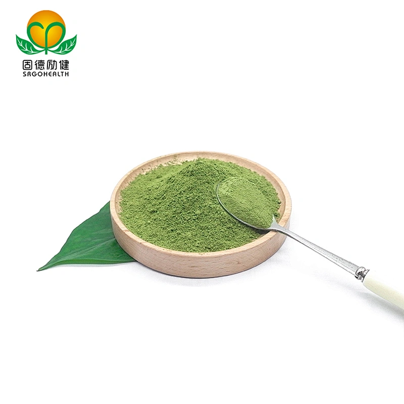 Factory Supply High Quality Super Food Organic Spinach Powder