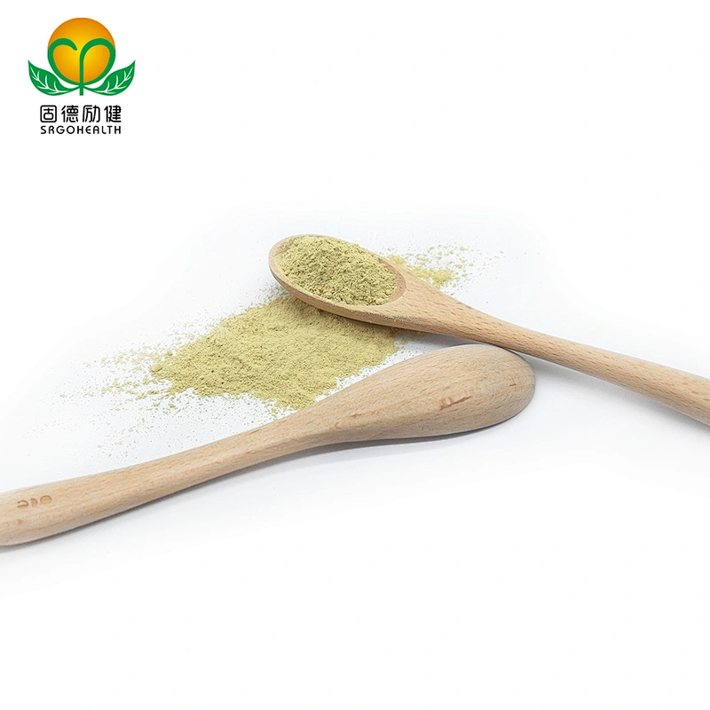High-quality Hot-selling in Amazon GMP Factory Rutin