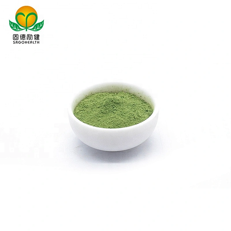 Best Selling Spinach powder