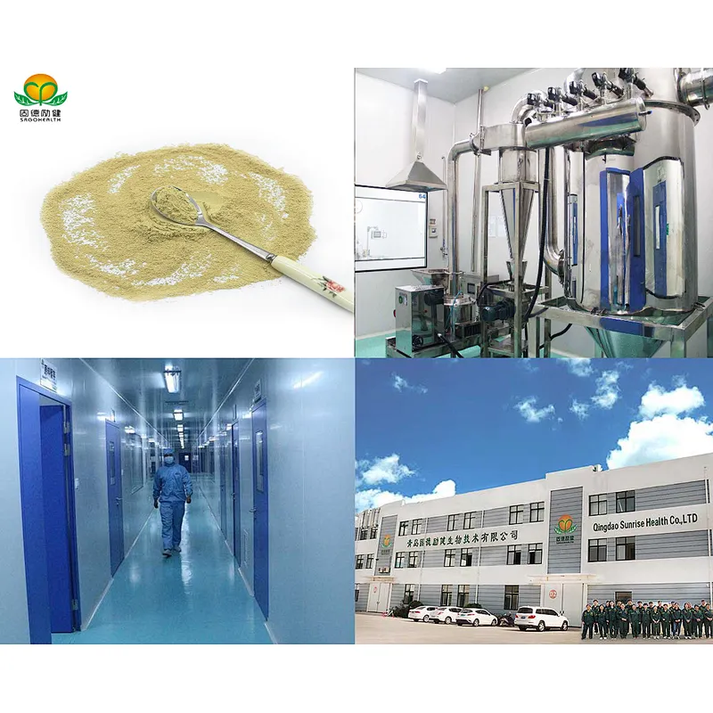 Hot Selling Competitive Price Pure Sophora Japonica Extract Rutin Powder