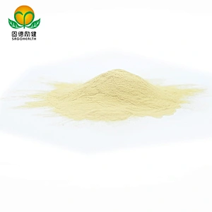 Vegan Supplement GMP Certified Brown Rice Protein Powder