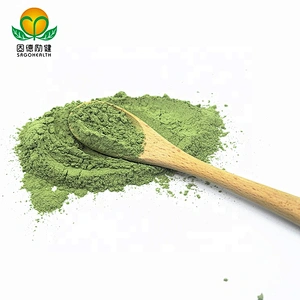 Vegan GMP Factory Supply Barley Grass Powder