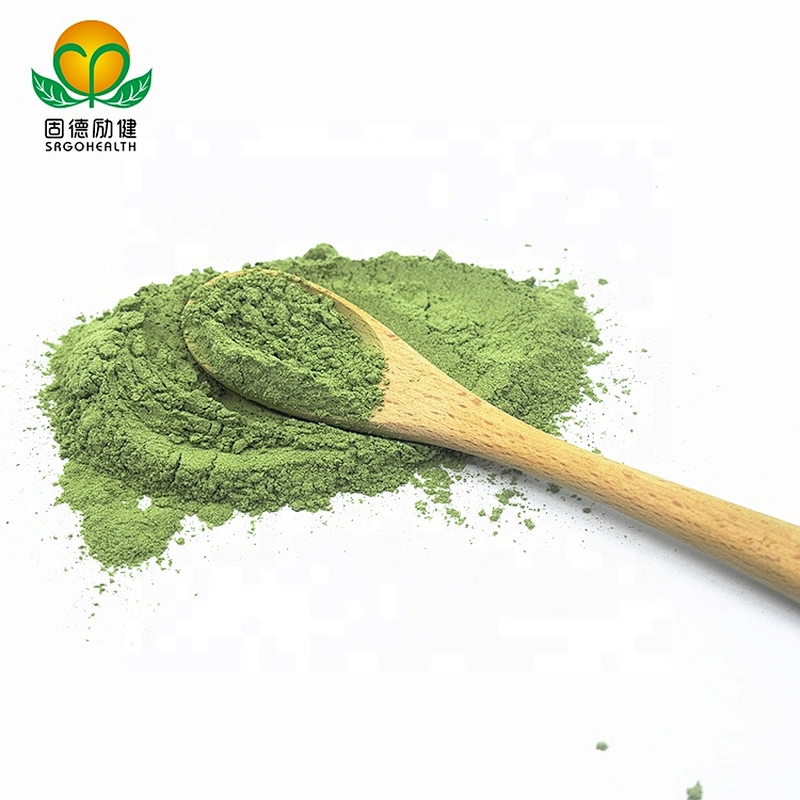 Vegan GMP Factory Supply Barley Grass Powder