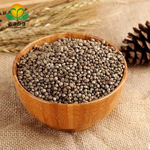Factory Supply Competitive Price Organic Hemp seed