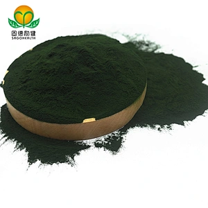 Non-organic Chlorella vulgaris Powder in Bulk EU stock Available