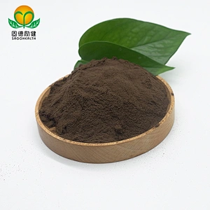 Best OEM Manufacturer Supple Reishi Extract Powder Ganoderma Extract Powder