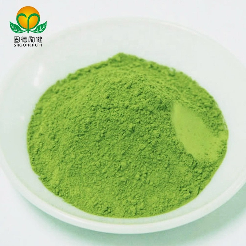 Vegan GMP Factory Supply Kale Powder