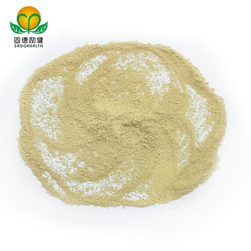 Hot Selling Sophora Japonica Extract Rutin Powder
