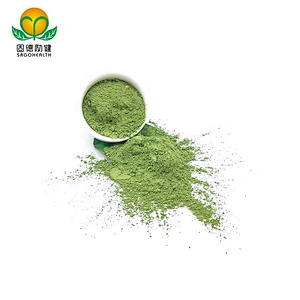 Vegan GMP Factory Supply Organic Kale Powder