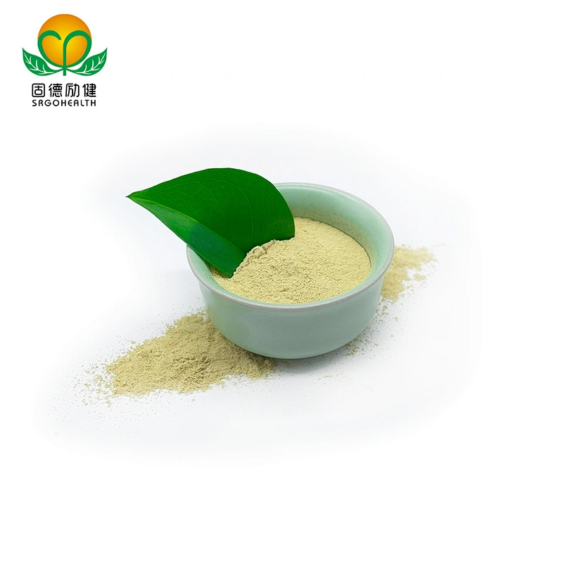 Hot Selling Sophora Japonica Extract Rutin Powder