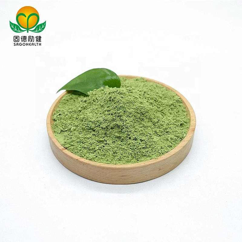 Vegan GMP Factory Supply Spinach powder